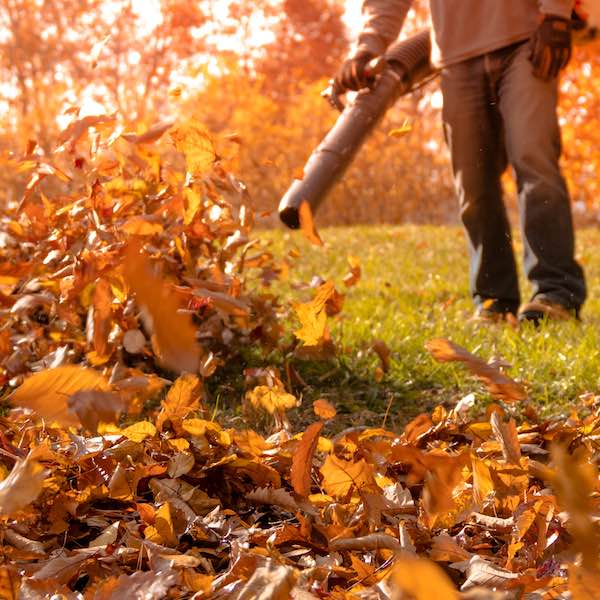 Spring & Fall Cleanups NH