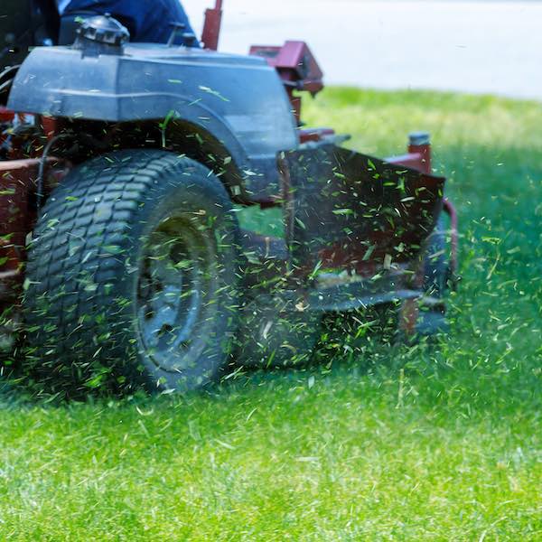 Mowing & Weed Whacking Service New Hampshire