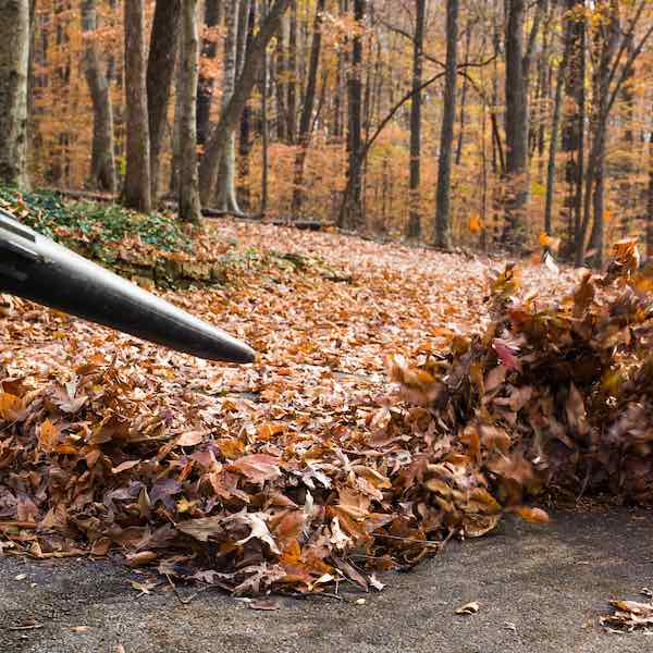 NH Fall Cleanup Services