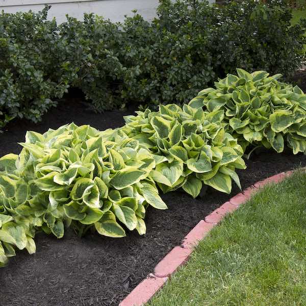 NH Mulch Install Services