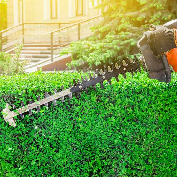 NH Pruning Services