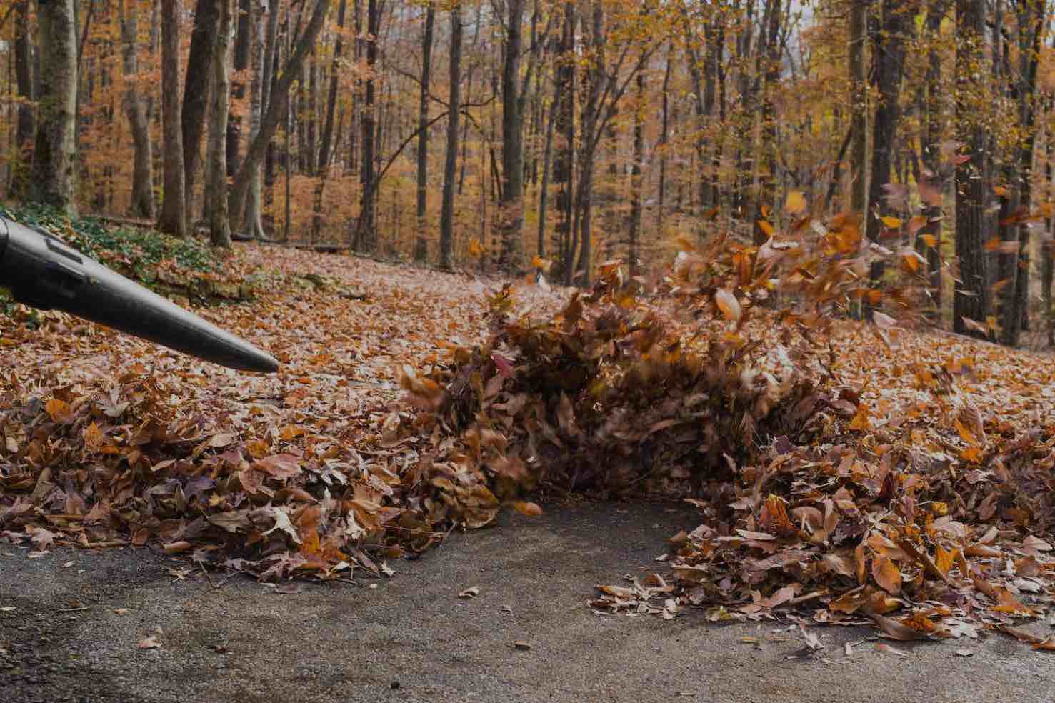 person blowing leaves