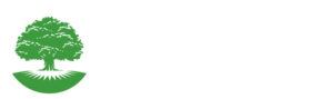 Perfection Landscaping