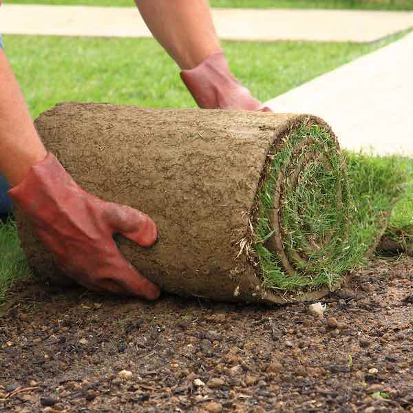 NH Sod Services
